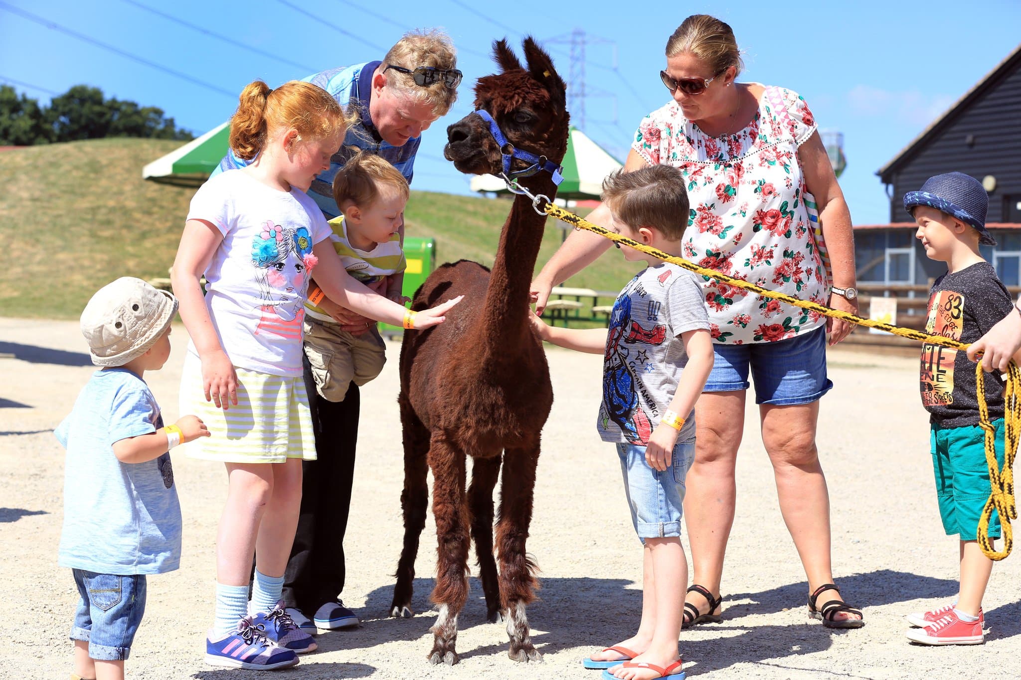 Old MacDonalds Farm & Fun Park - Photo