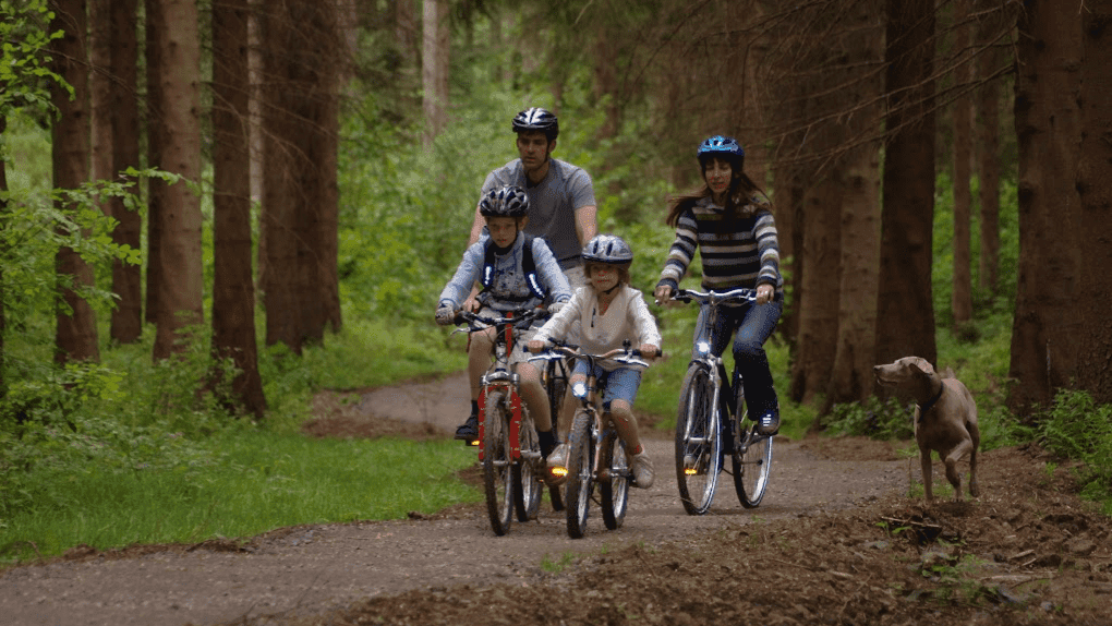 Hamsterley Forest - Photo