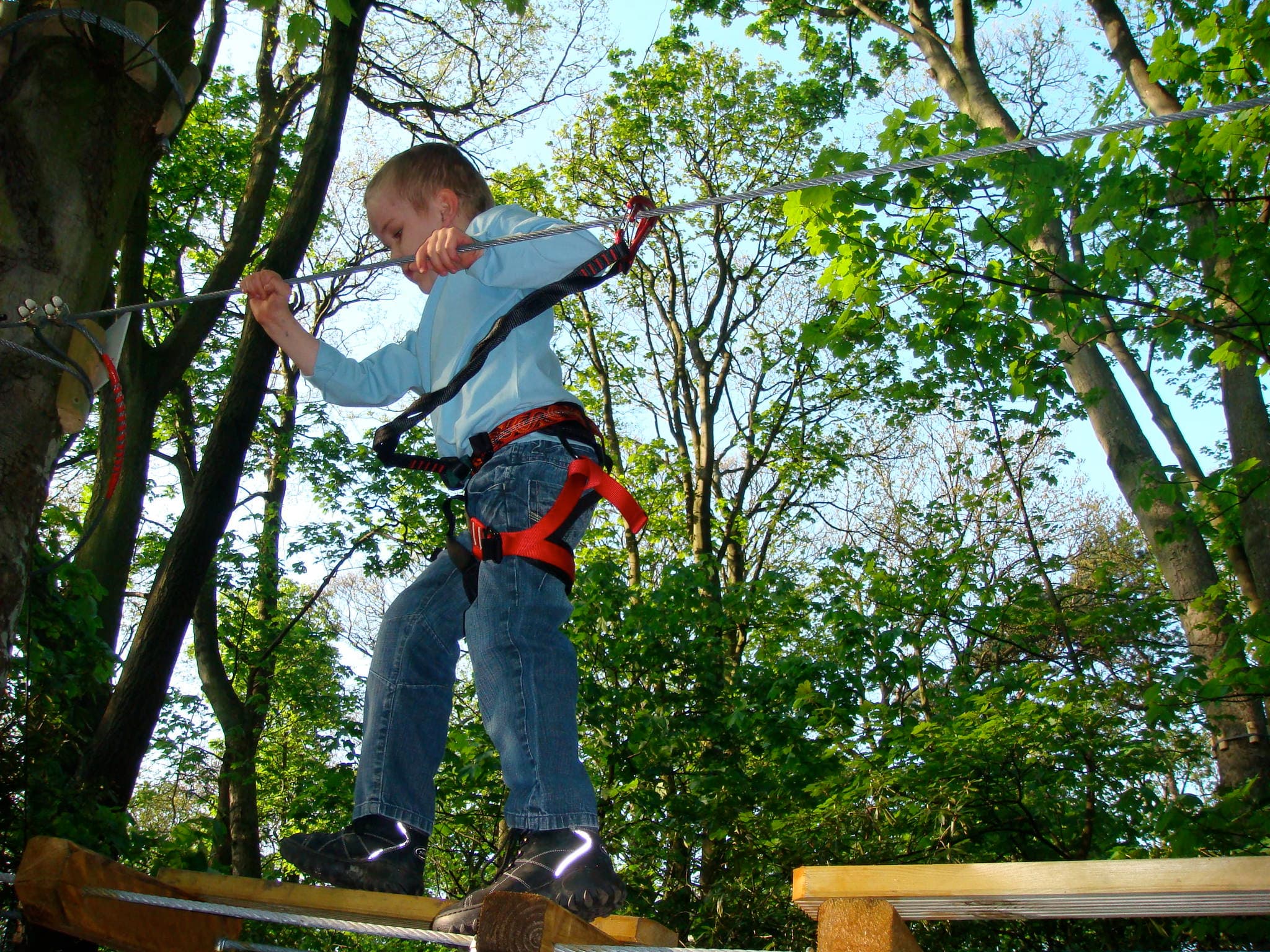 Jungle Parc Northampton