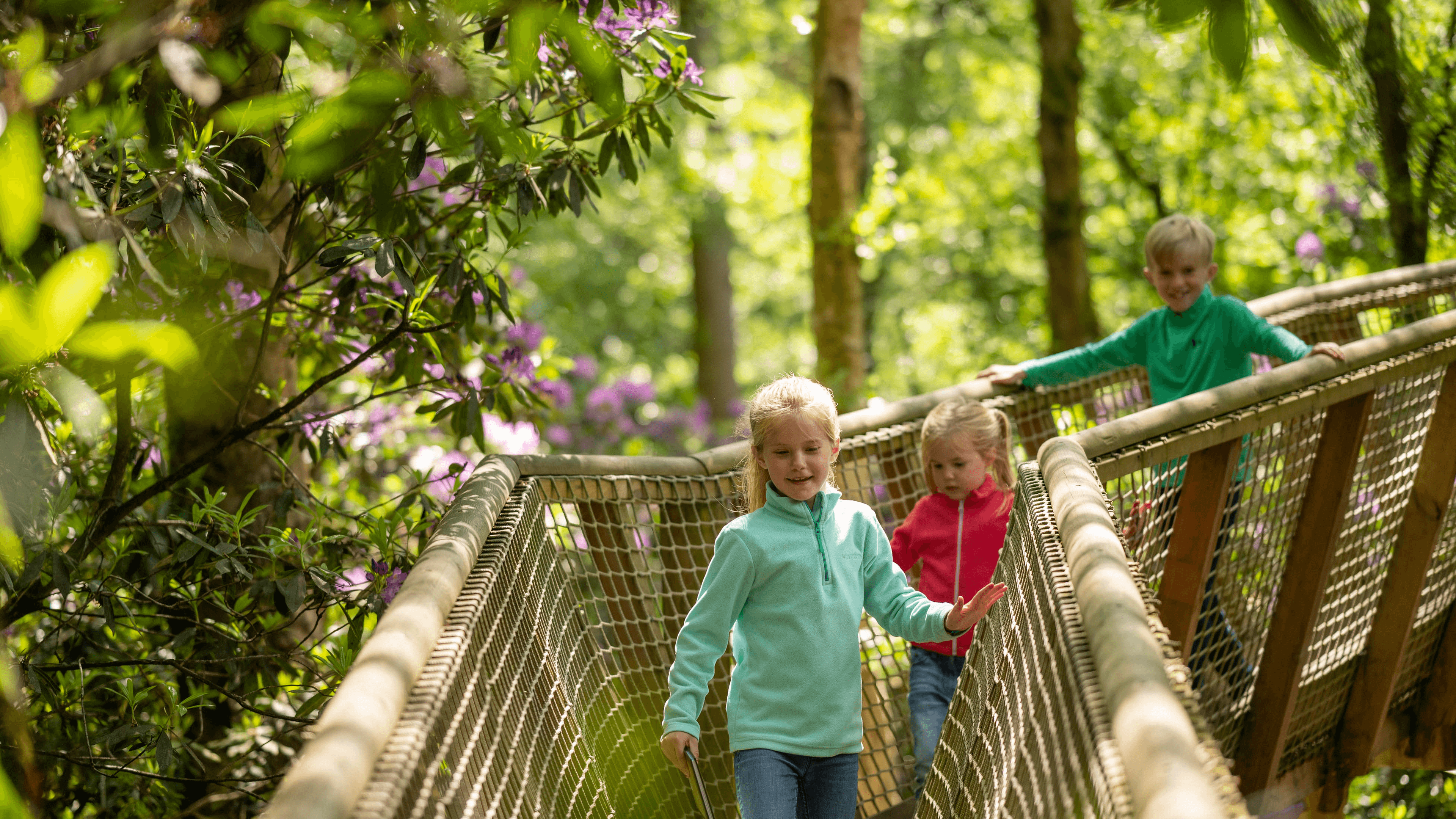 BeWILDerwood Cheshire - Photo 1