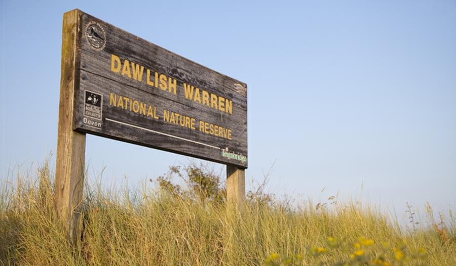 Dawlish Warren Beach - Photo