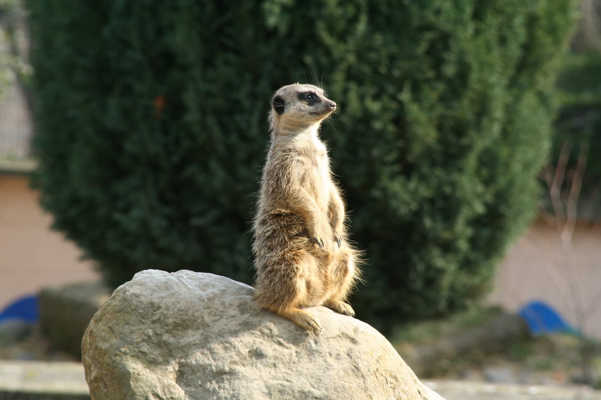 Battersea Park Children's Zoo