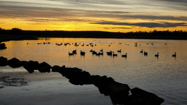 Anglers Country Park - Photo