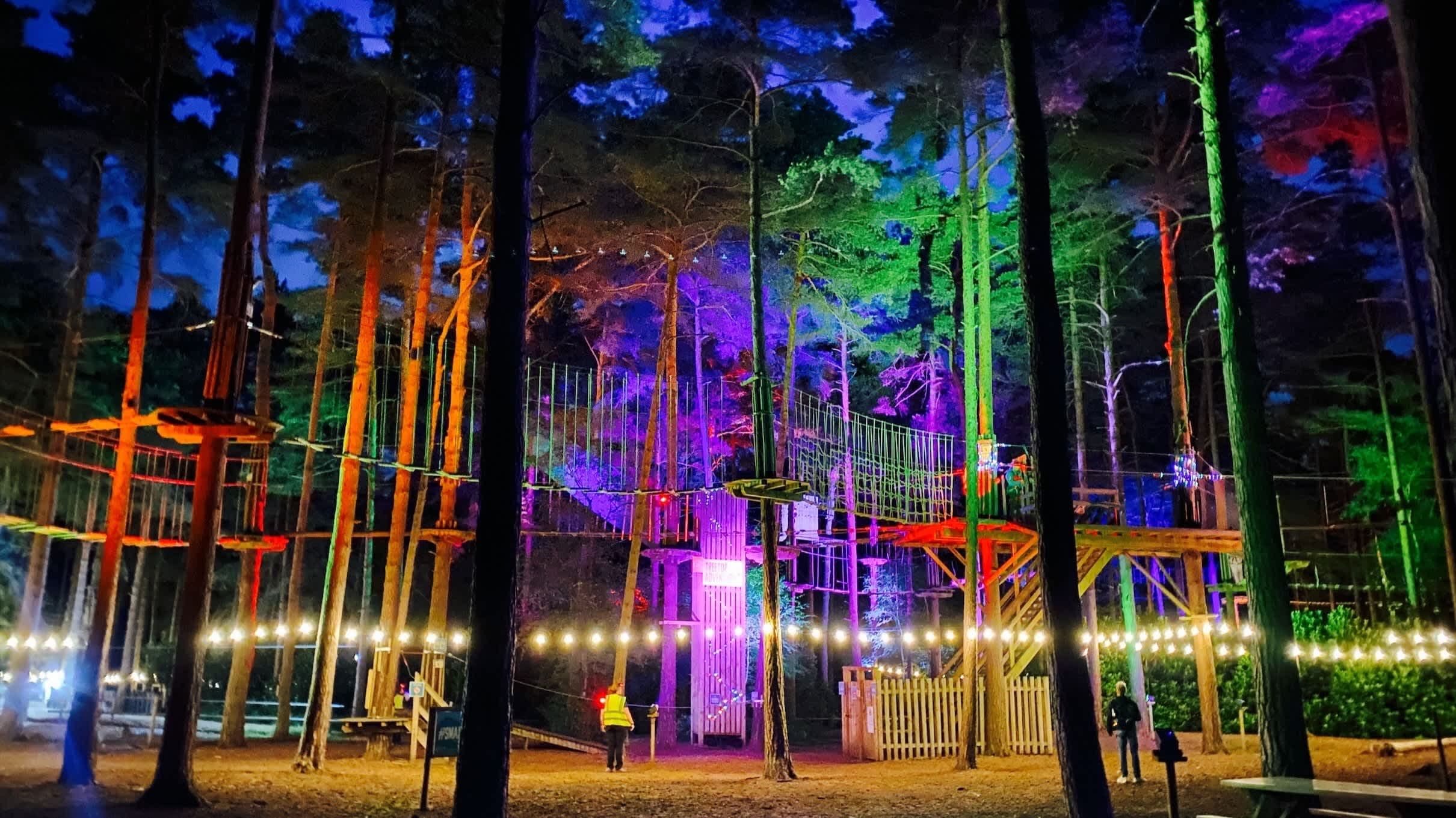 Go Ape Alexandra Palace - Photo