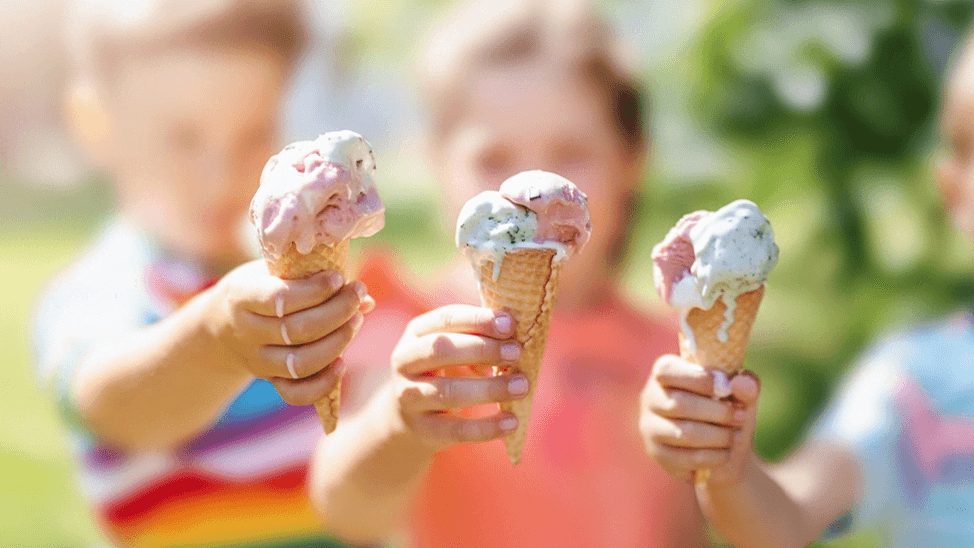 Lewis Of London Ice Cream Farm - Photo