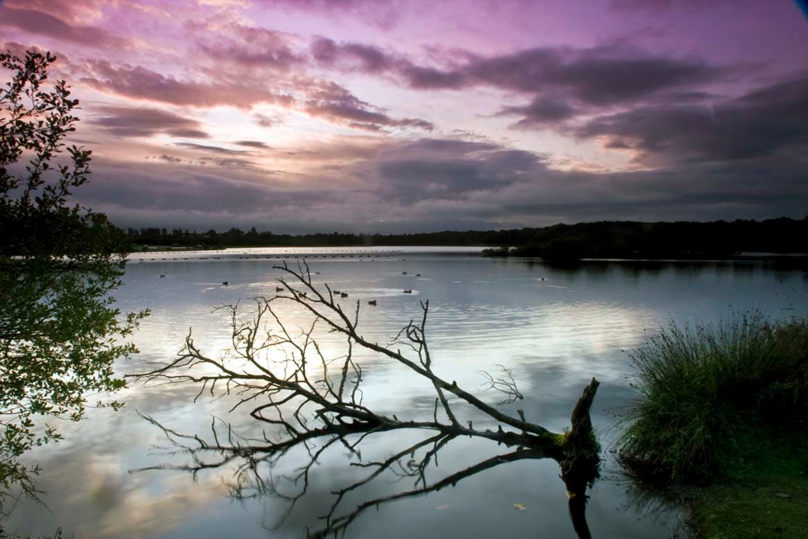 Drumpellier Country Park - Photo