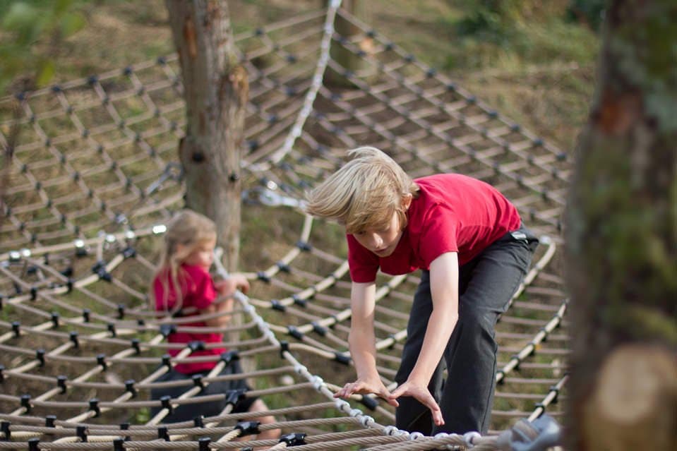 Wild Kingdom Playspace - Photo 1