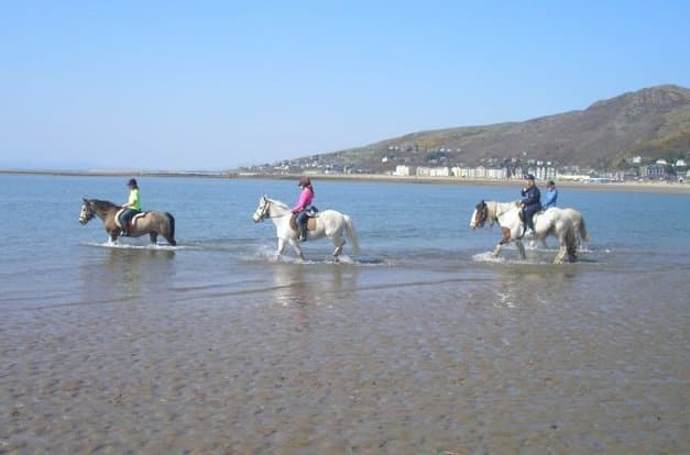 Bwlchgwyn Farm Pony Trekking Centre - Photo