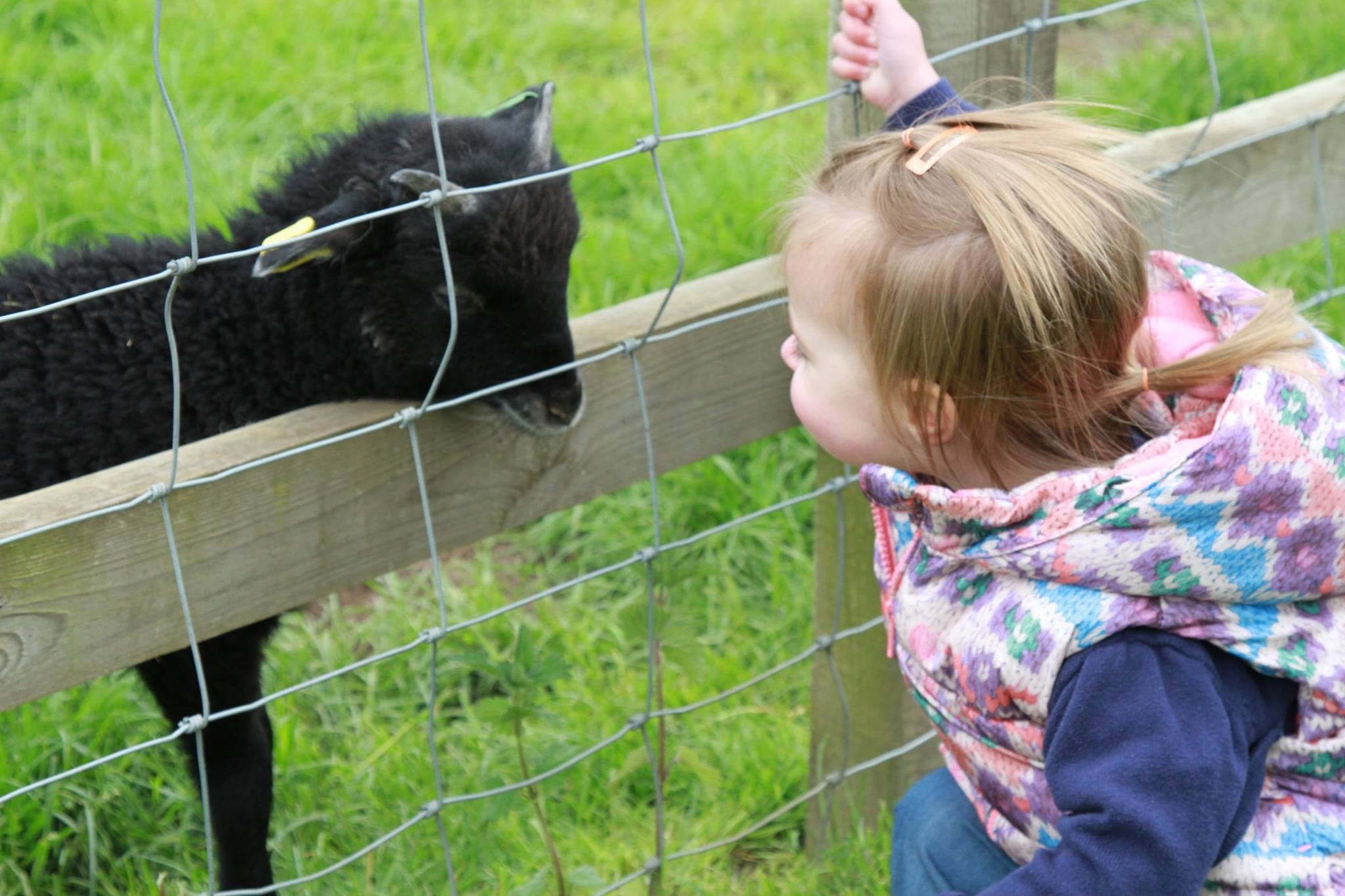 Church Farm Stow Bardolph - Photo