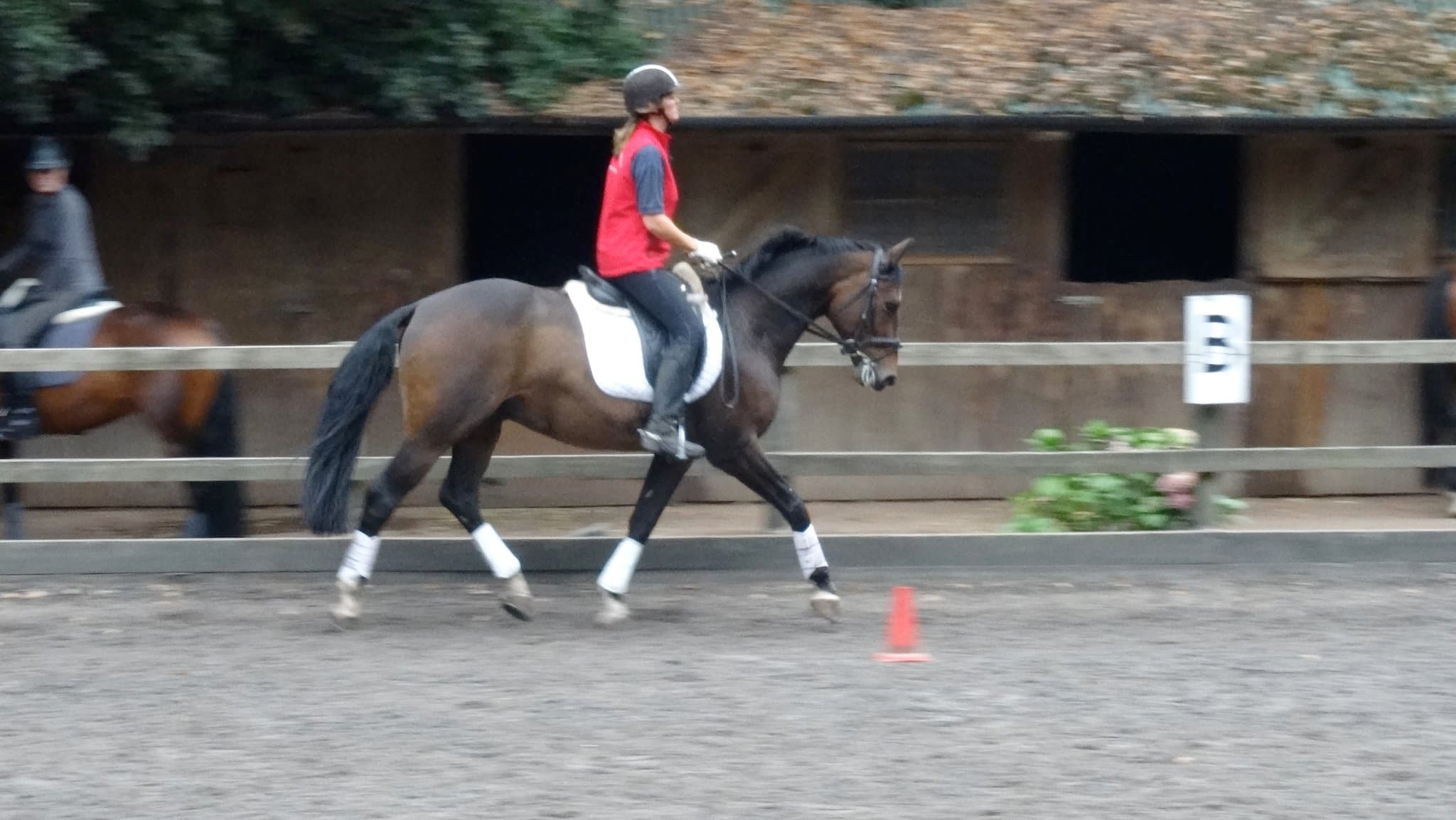 Budleigh Salterton Riding School - Photo