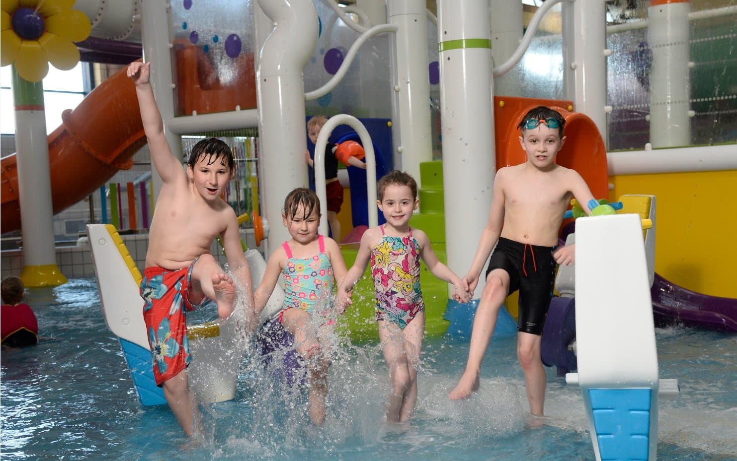 Lagan Valley LeisurePlex - Photo