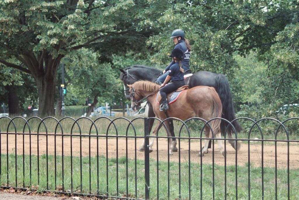 Hyde Park Stables - Photo