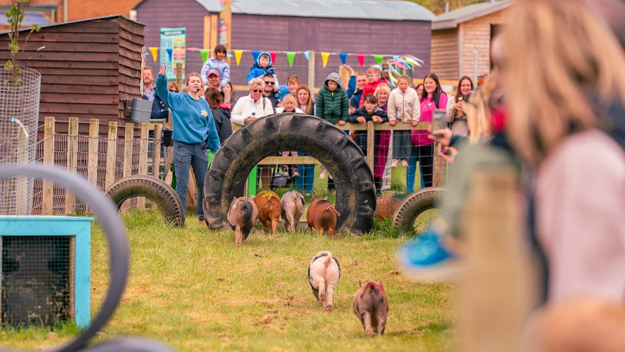 Manorafon Farm Park - Photo