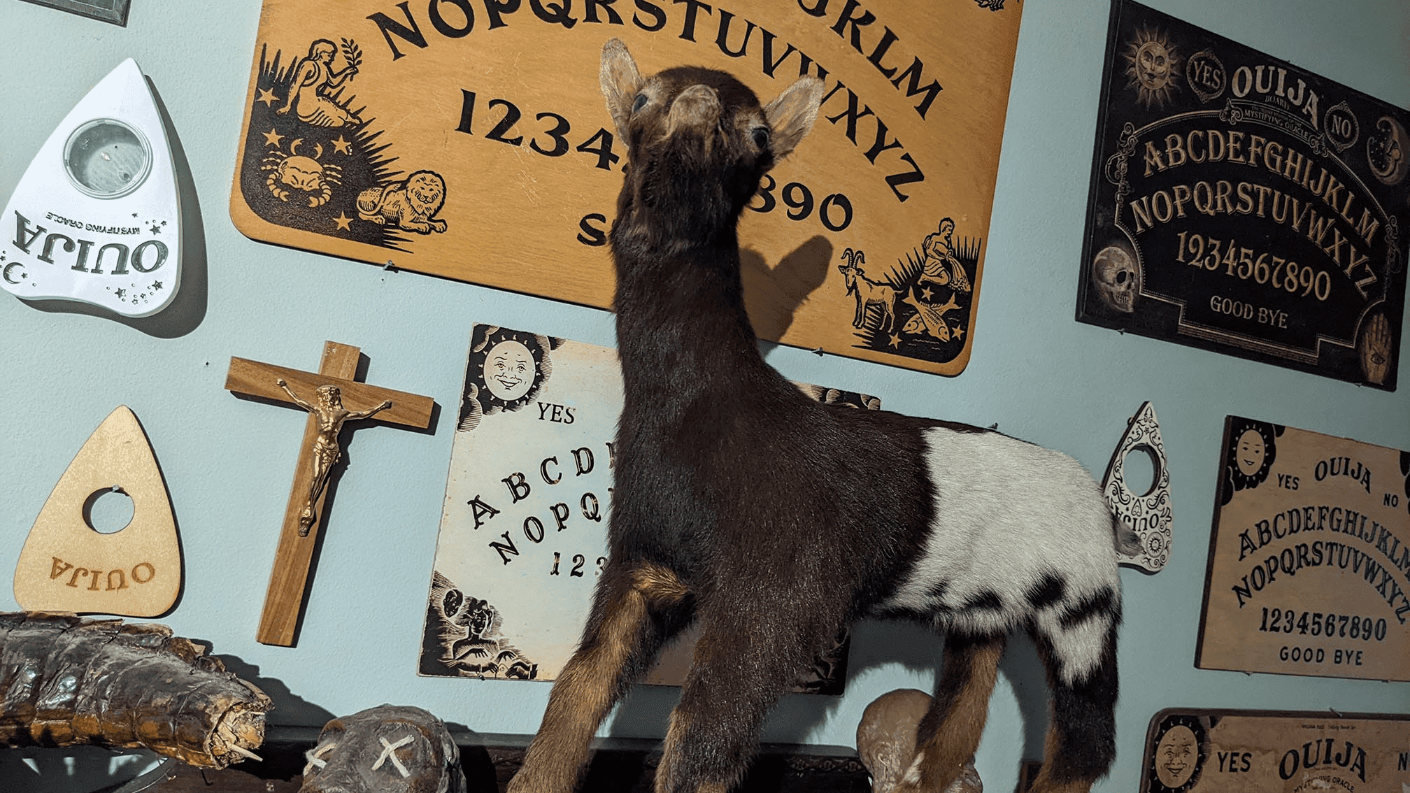 Morbitorium - Photo