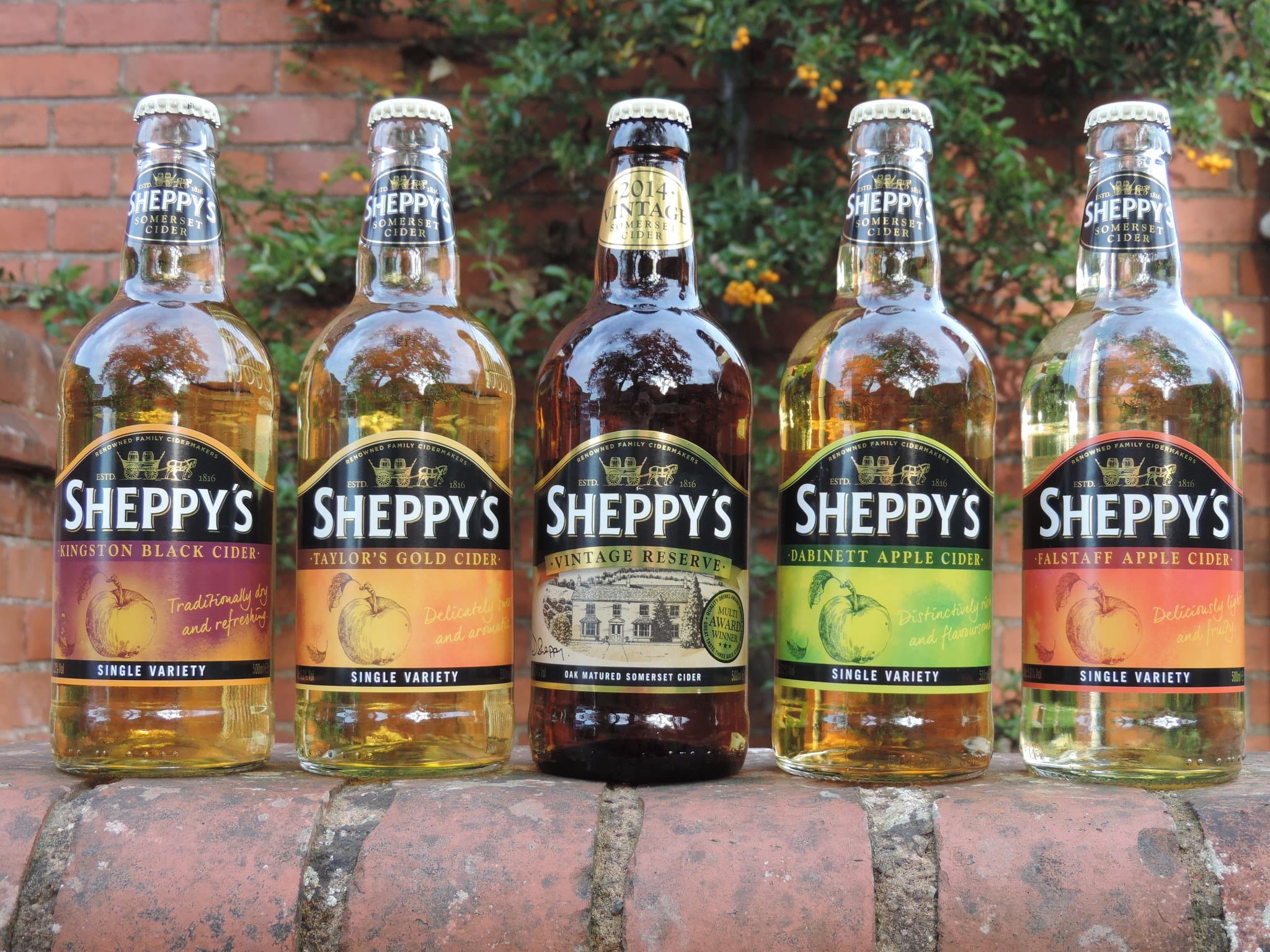 Sheppys Cider Farm and Museum - Photo