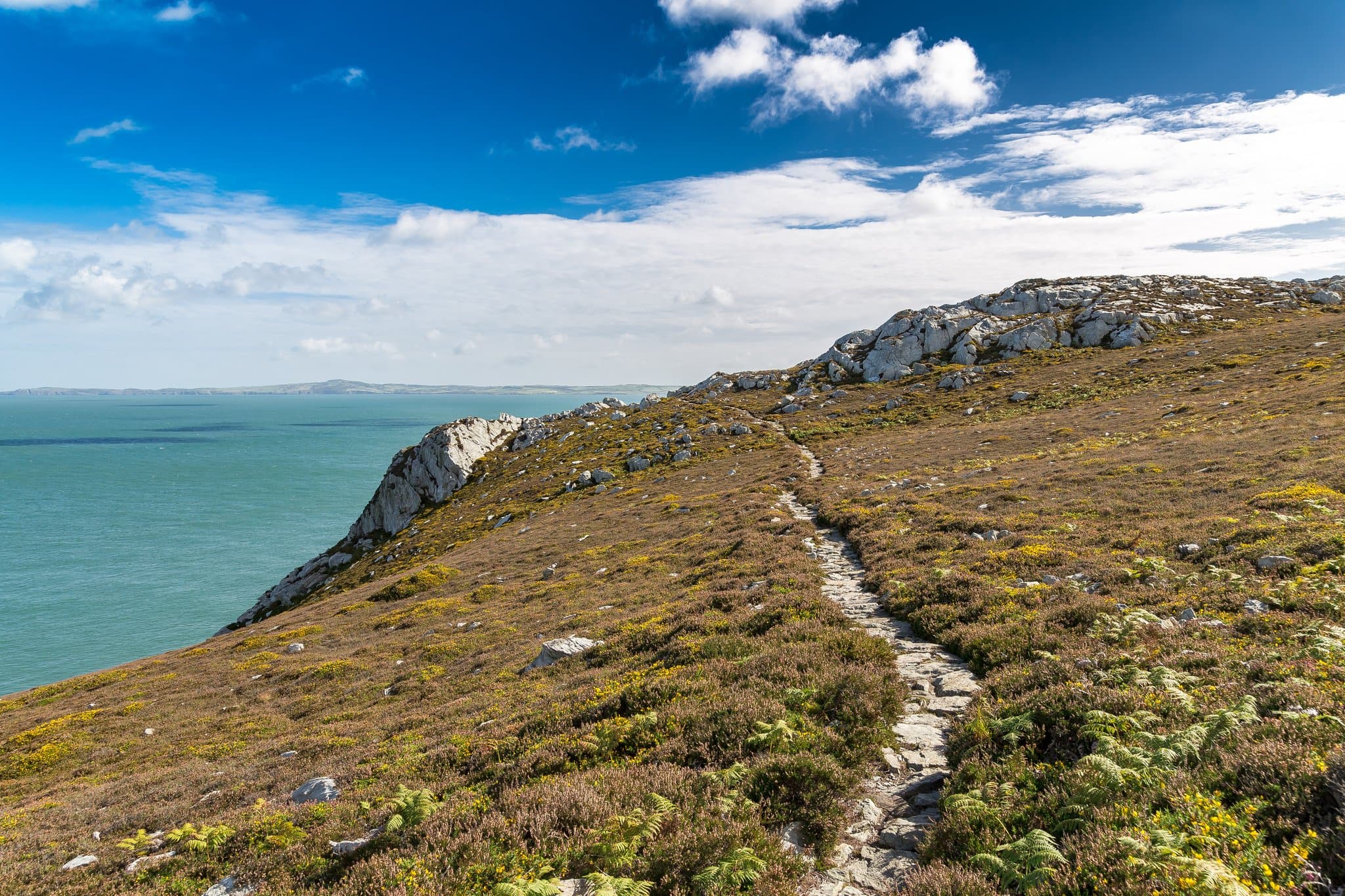 Breakwater Country Park