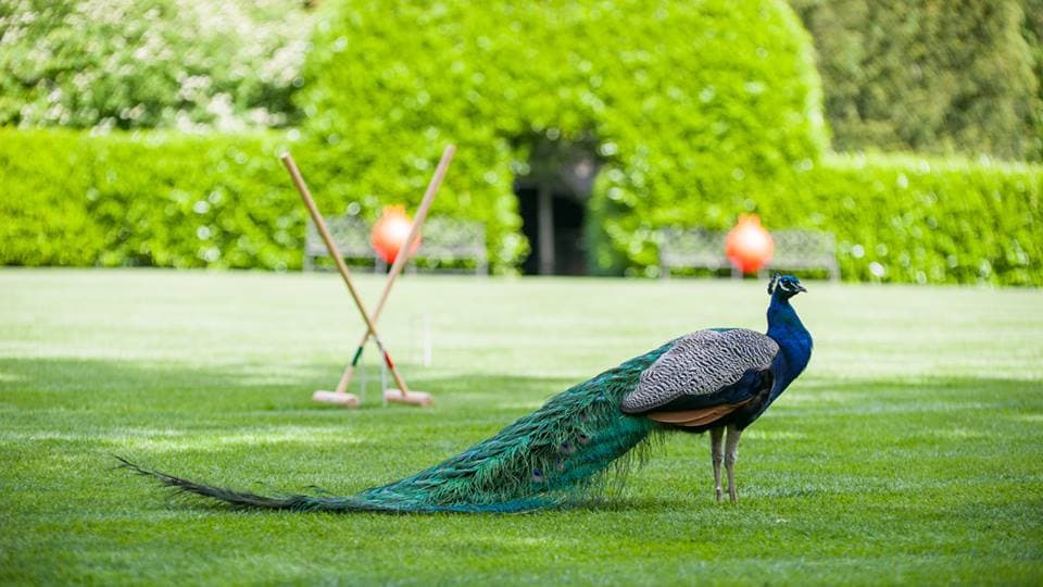 Larmer Tree Gardens