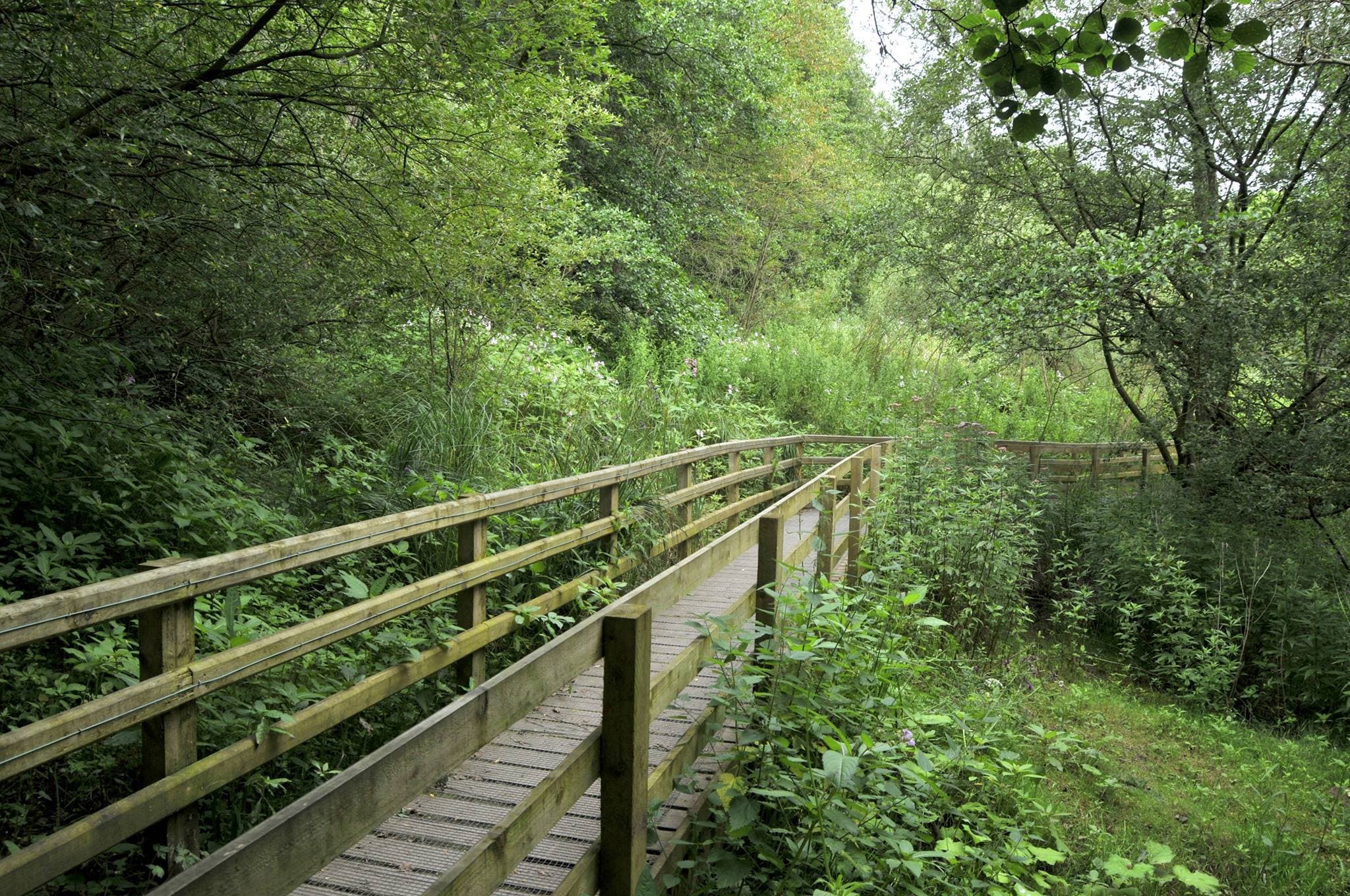 Alyn Waters Country Park