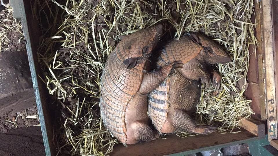 Northumberland College Zoo - Photo 1