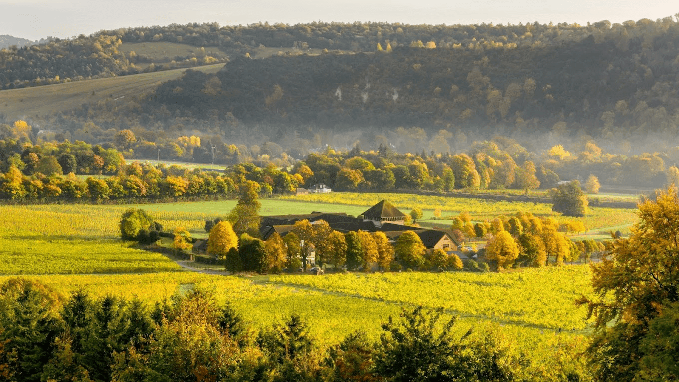 Denbies Wine Estate