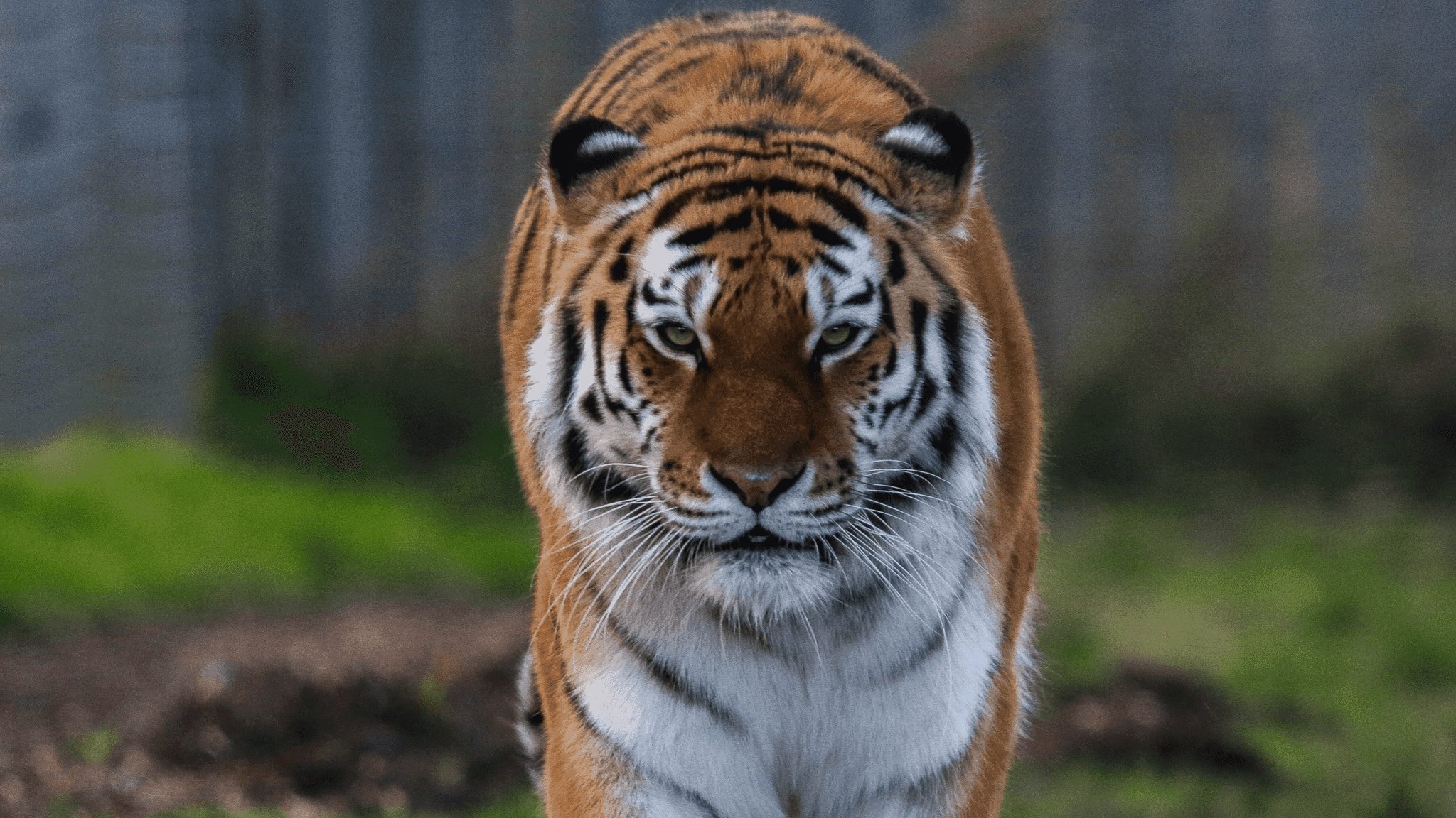 Yorkshire Wildlife Park - Photo