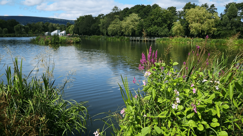 Cwmbran Boating Lake