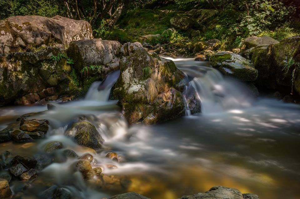 Aira Force