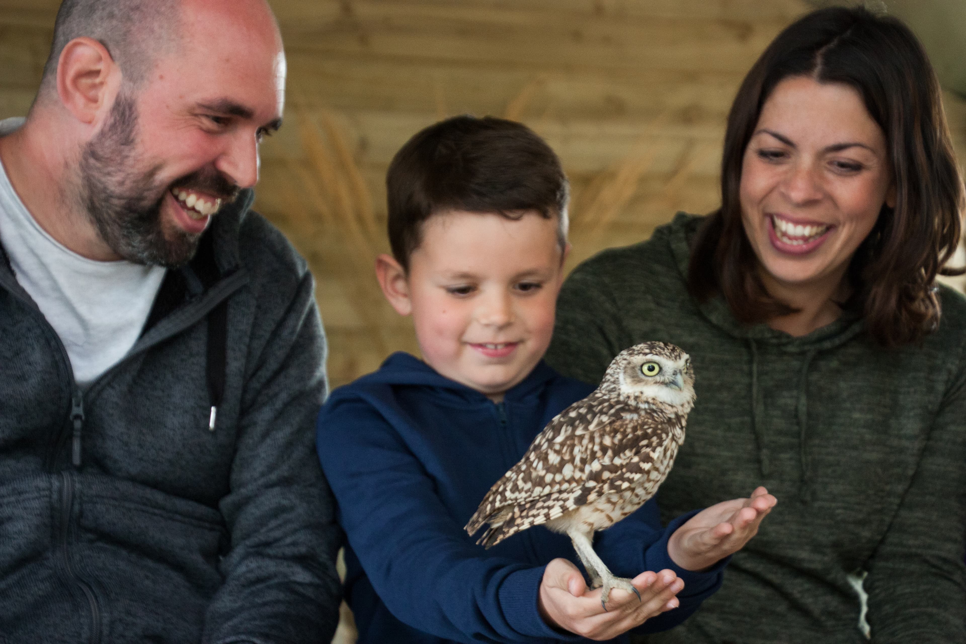 Hawk Conservancy Trust - Photo
