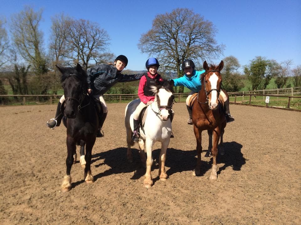 Country Treks Equestrian Centre - Photo