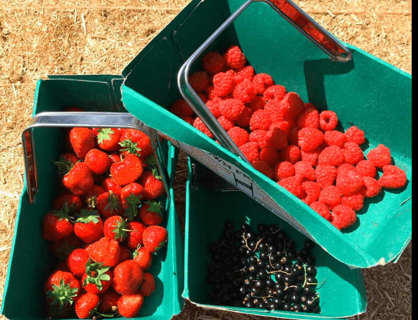 Copas Farm Cookham - Photo