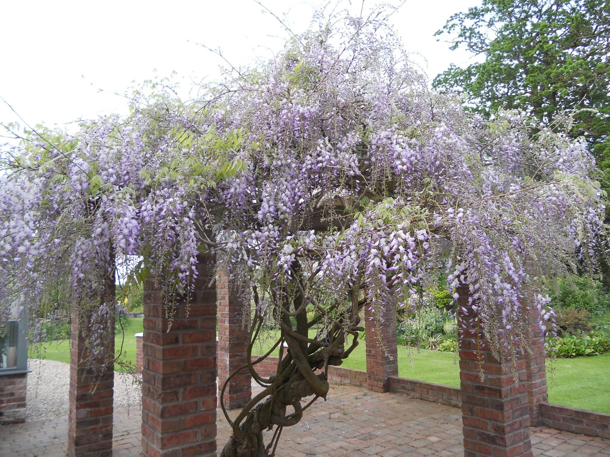 Goltho Gardens - Photo 1