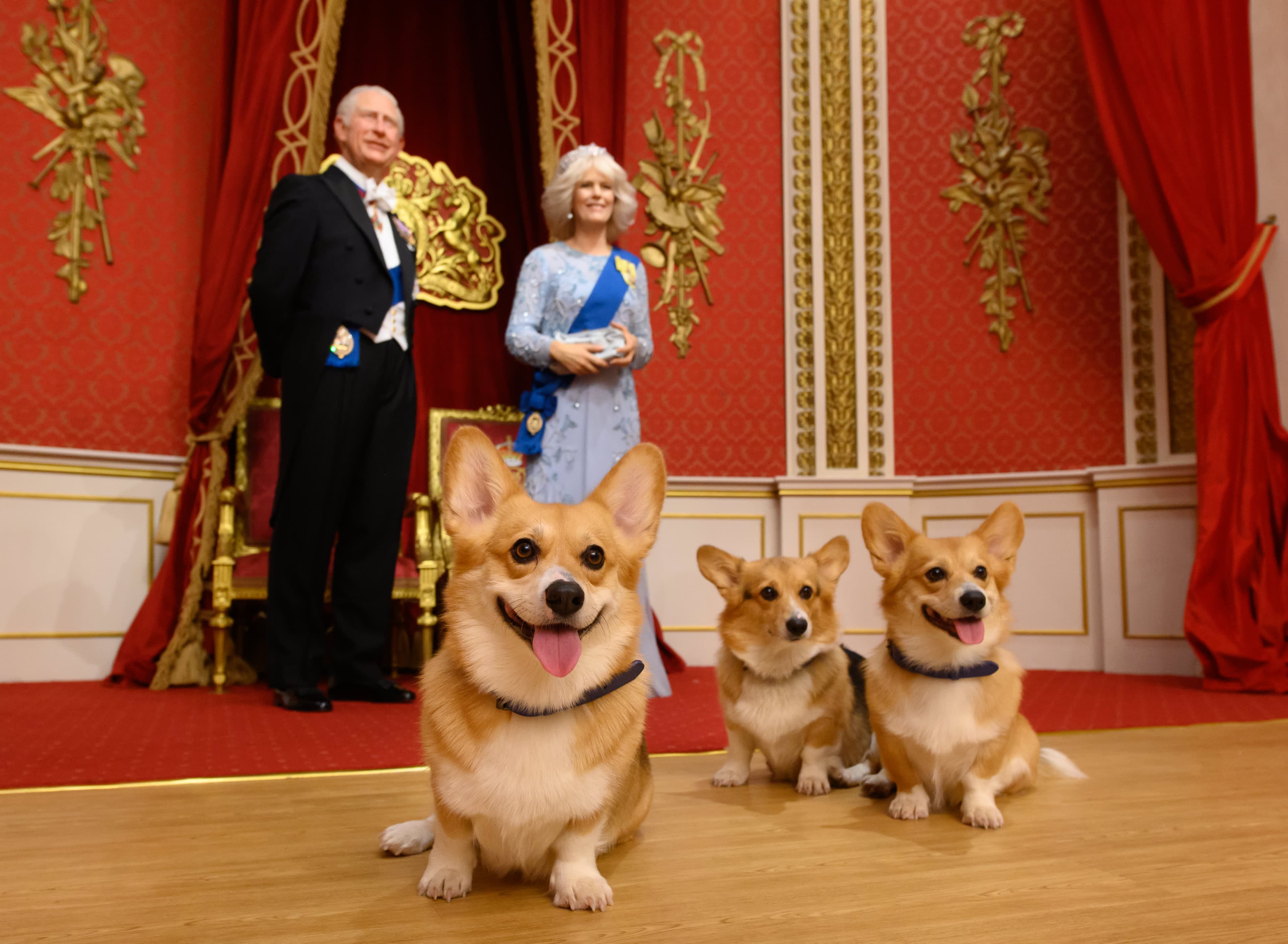 Madame Tussauds - Photo