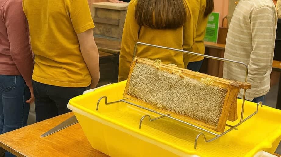 School Holiday Honey Harvest Workshop for Kids in London - Photo
