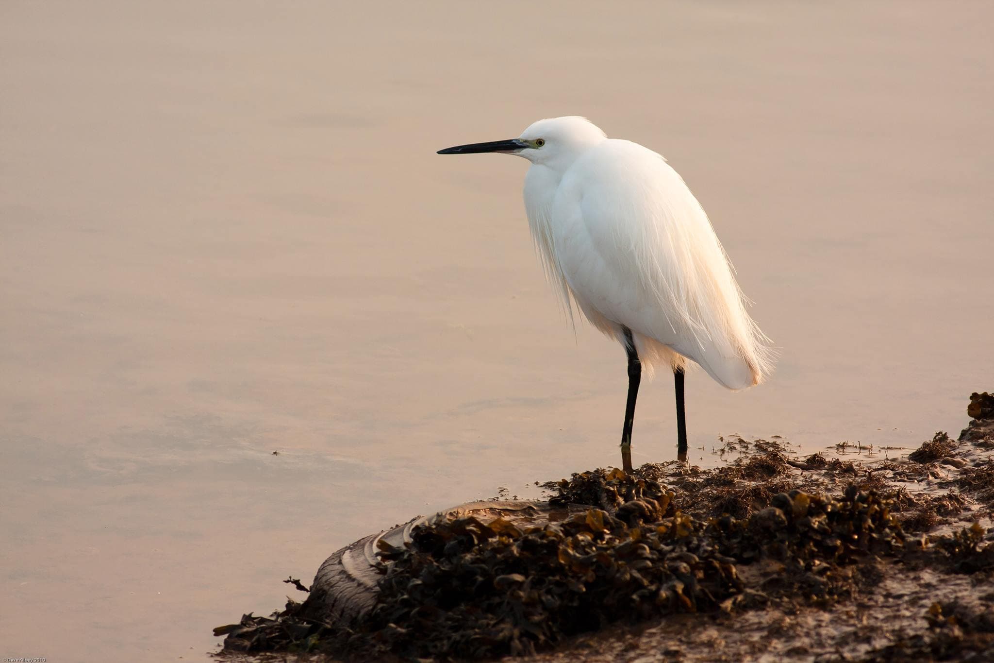 Cotswold Water Park & Beach - Photo