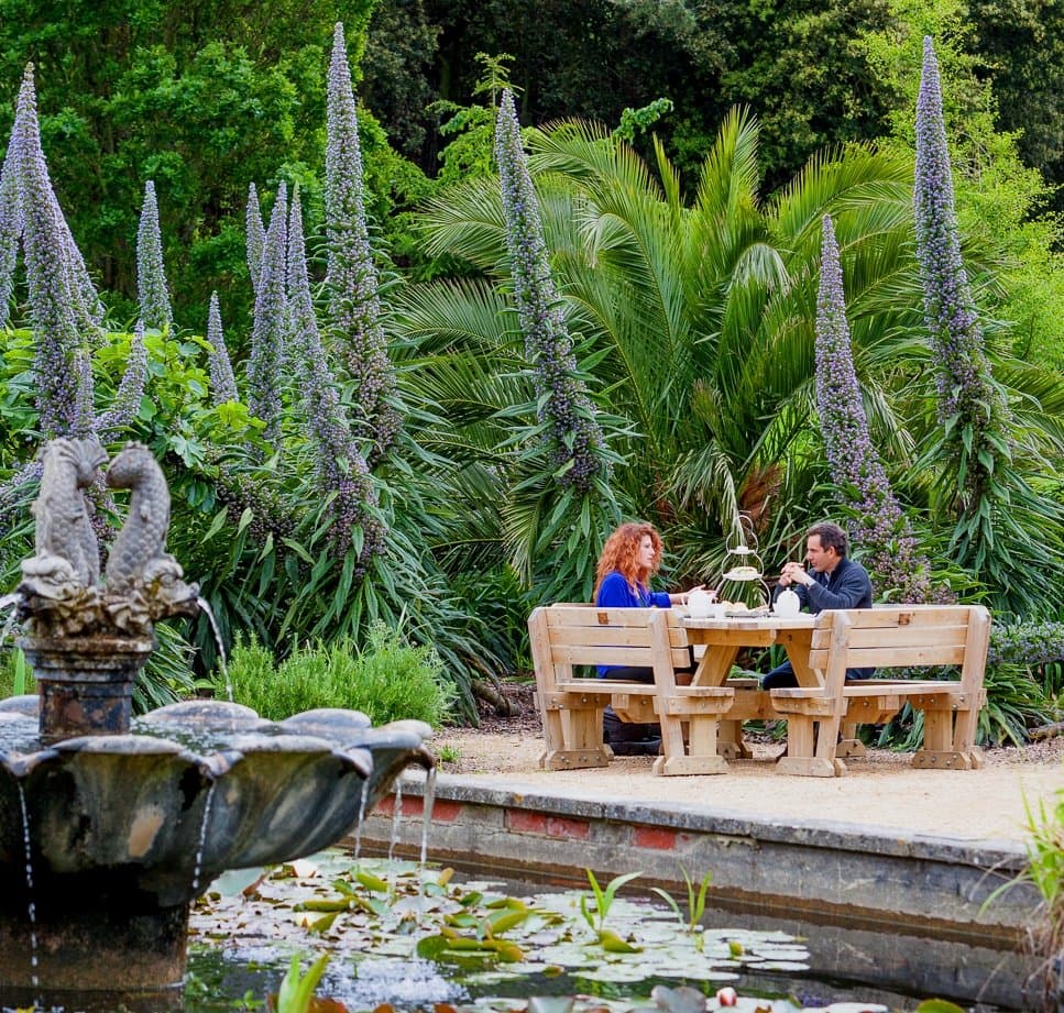 Ventnor Botanic Gardens - Photo