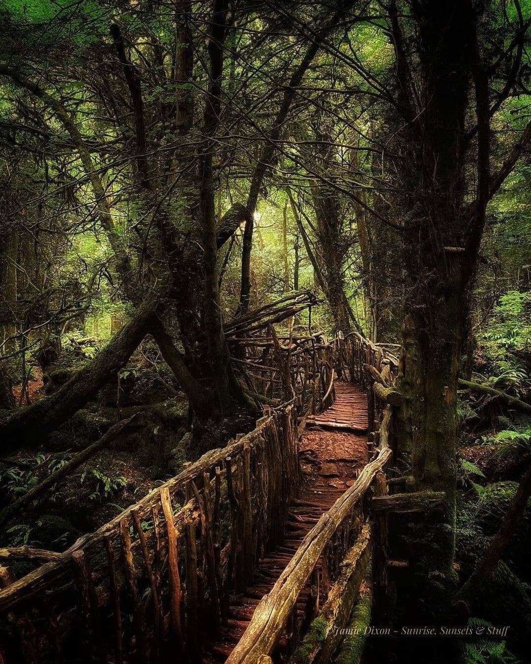 Puzzlewood