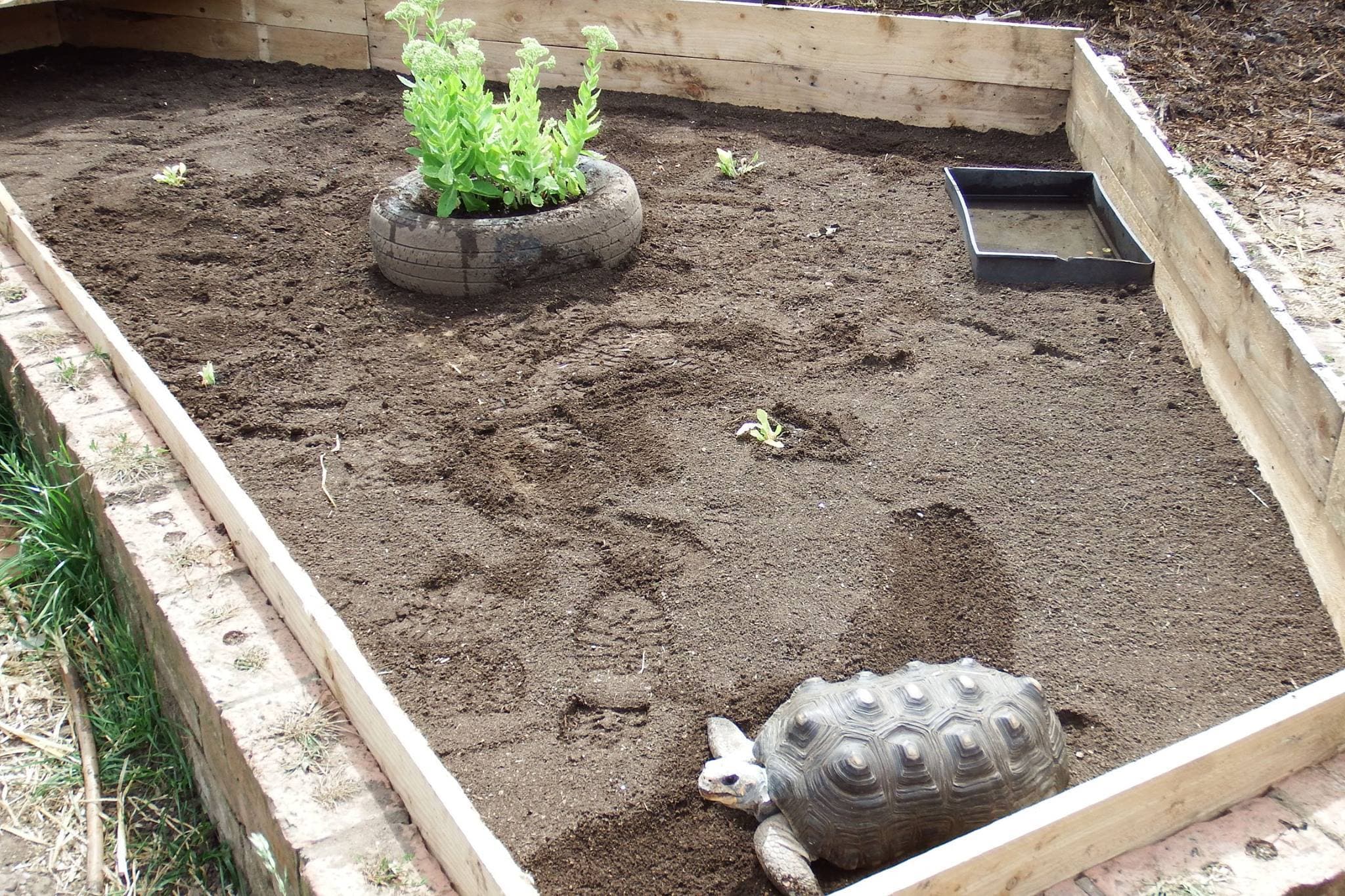 Stonebridge City Farm - Photo