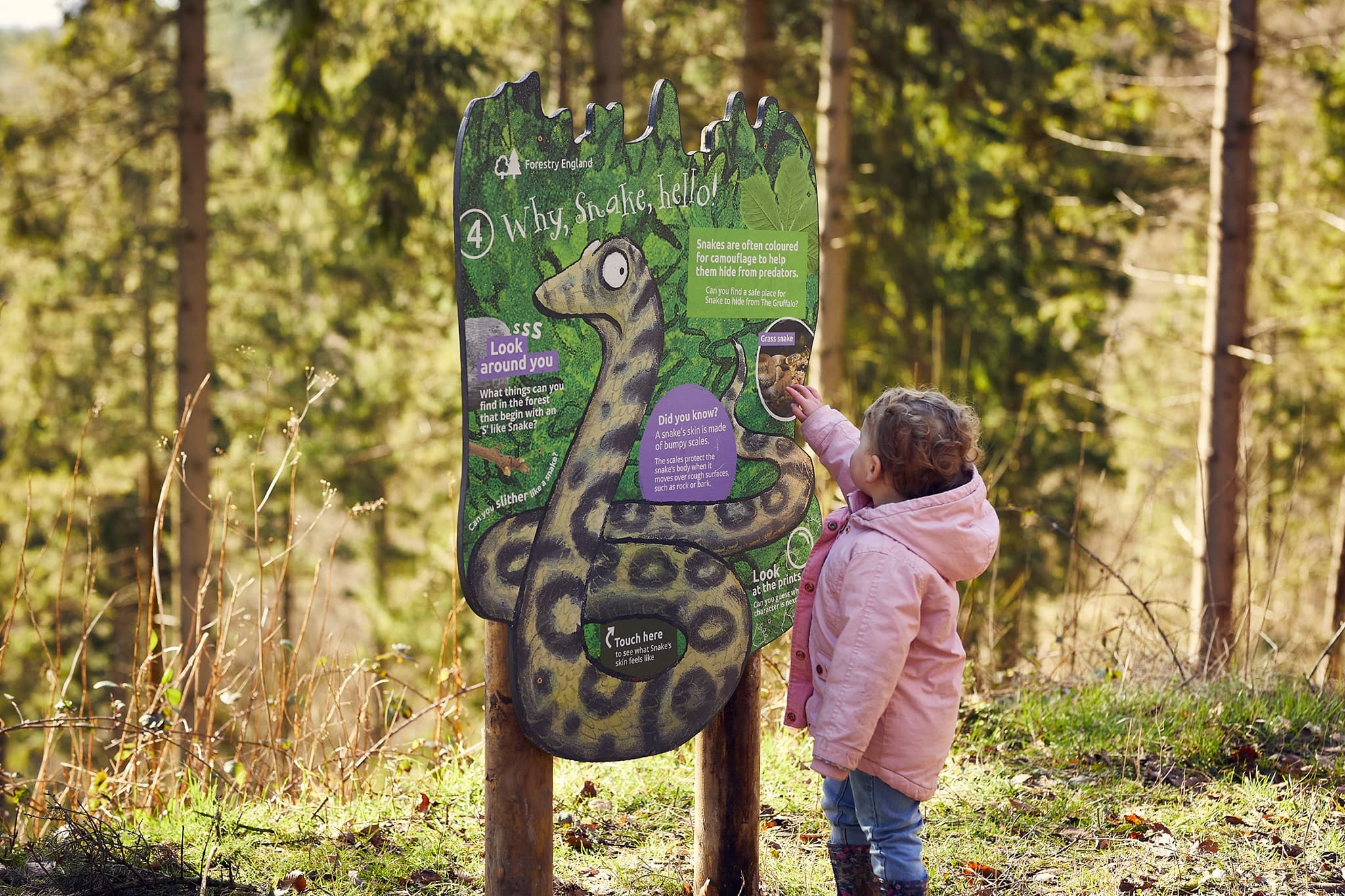The Gruffalo Trail - Photo