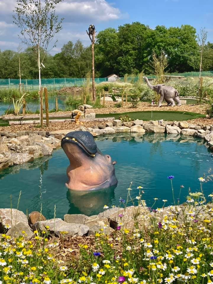 Junglemania Adventure Golf - Photo