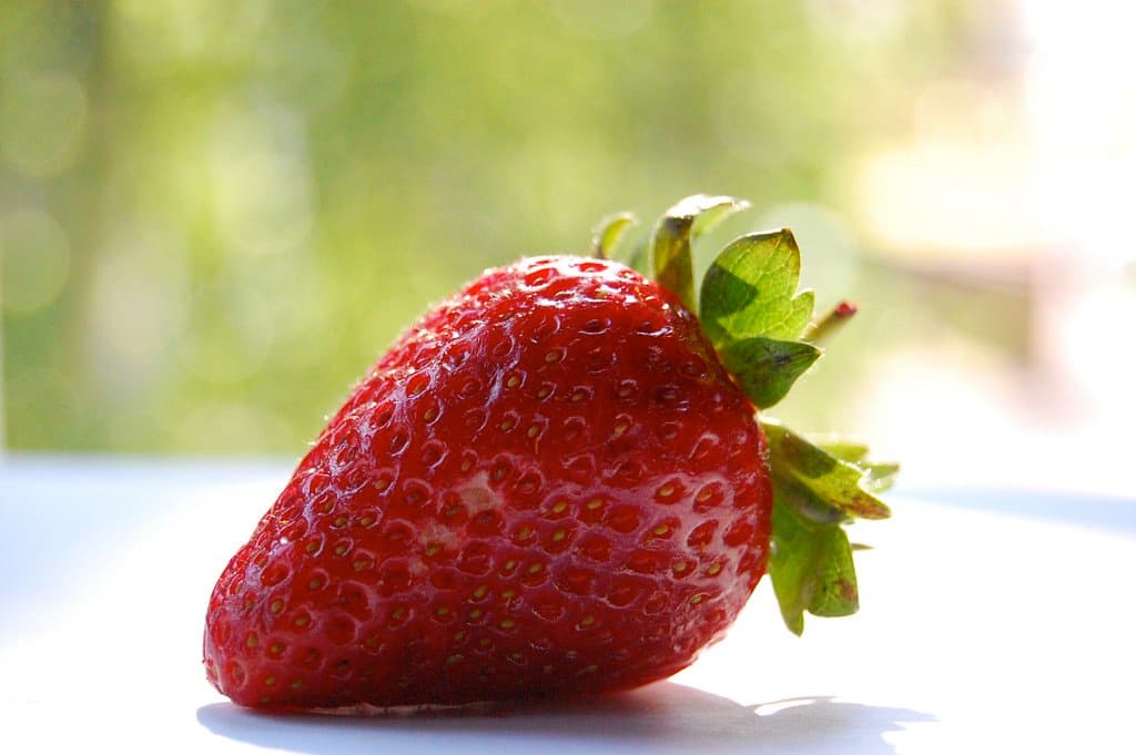 Willows Farm Fruit