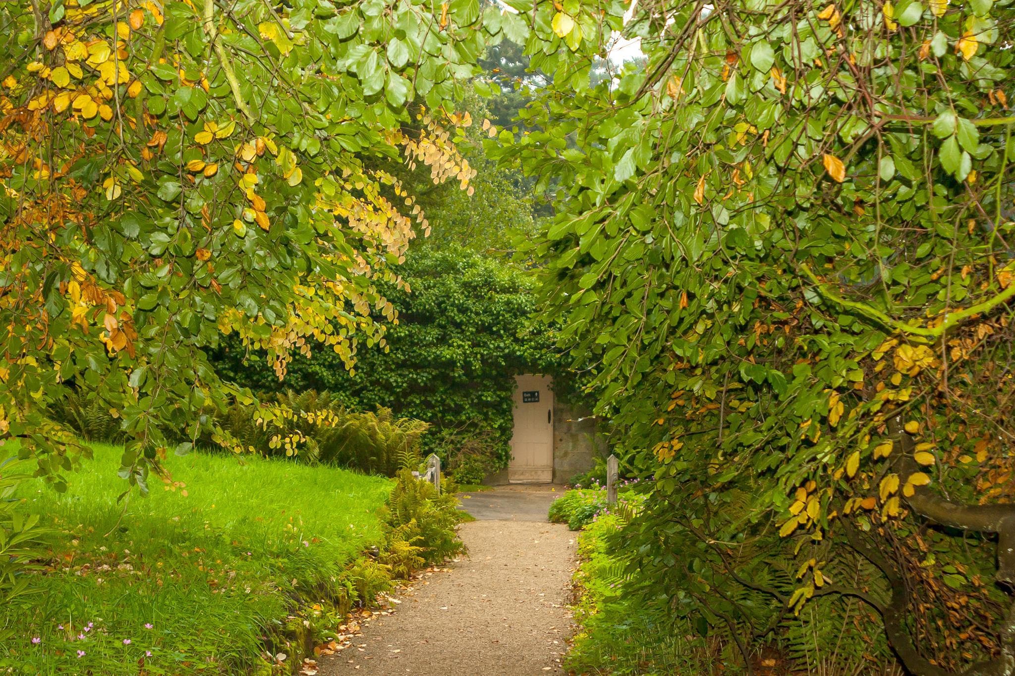 Belsay Hall Castle and Gardens