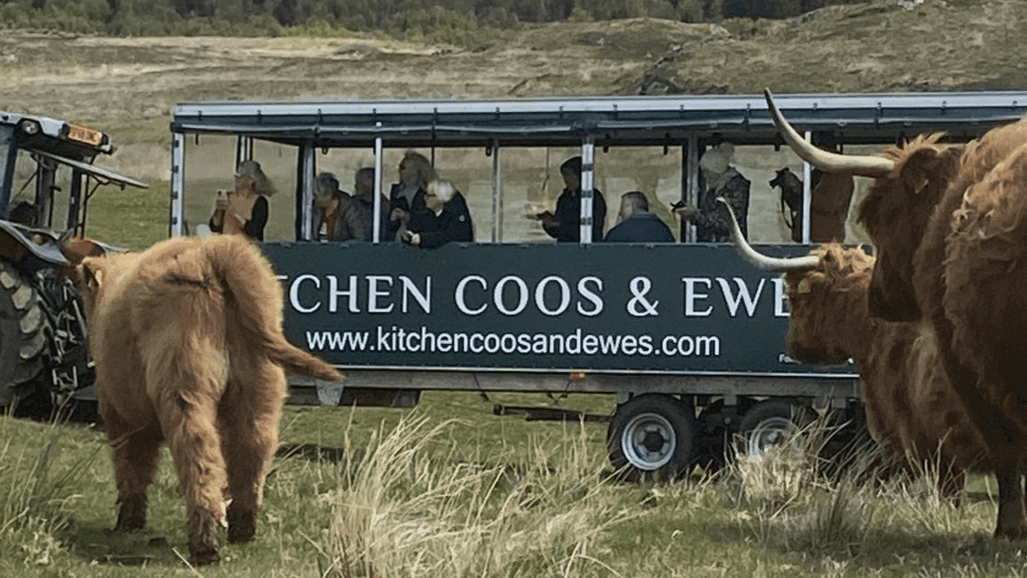 Kitchen Coos & Ewes - Photo