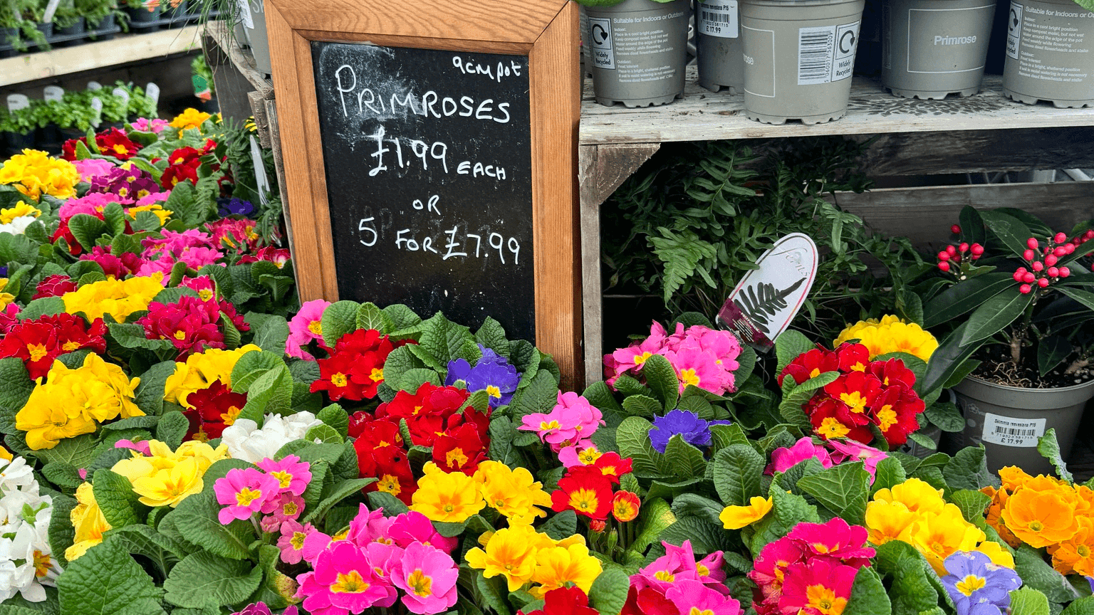 Whitehall Garden Centre