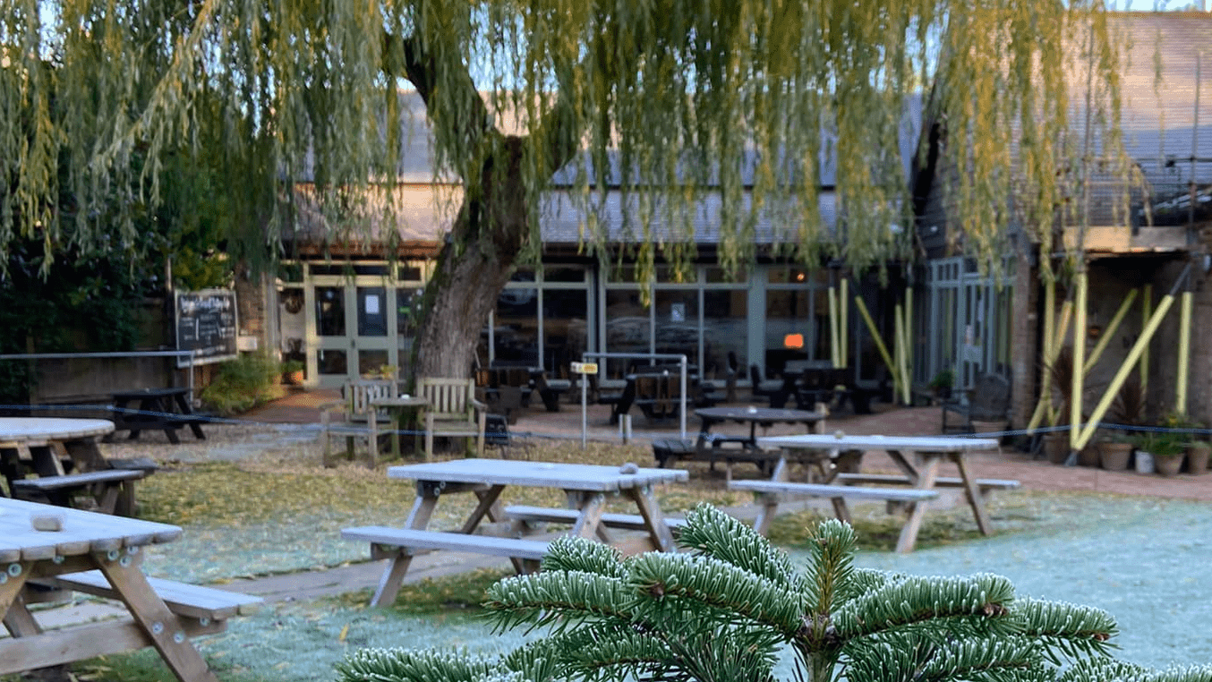 Chessell Pottery Cafe - Photo