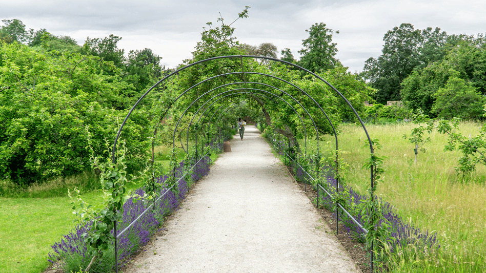 Fulham Palace House and Garden London - Photo