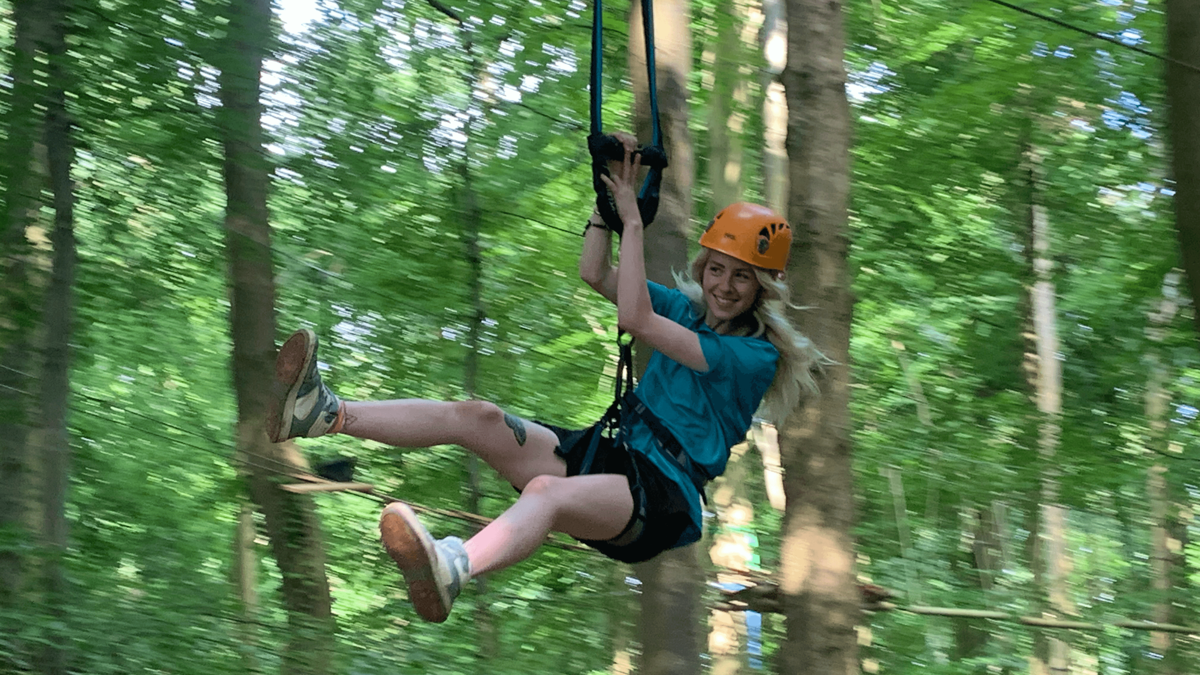 Adventure Bristol Tree Tops High Ropes - Photo 1