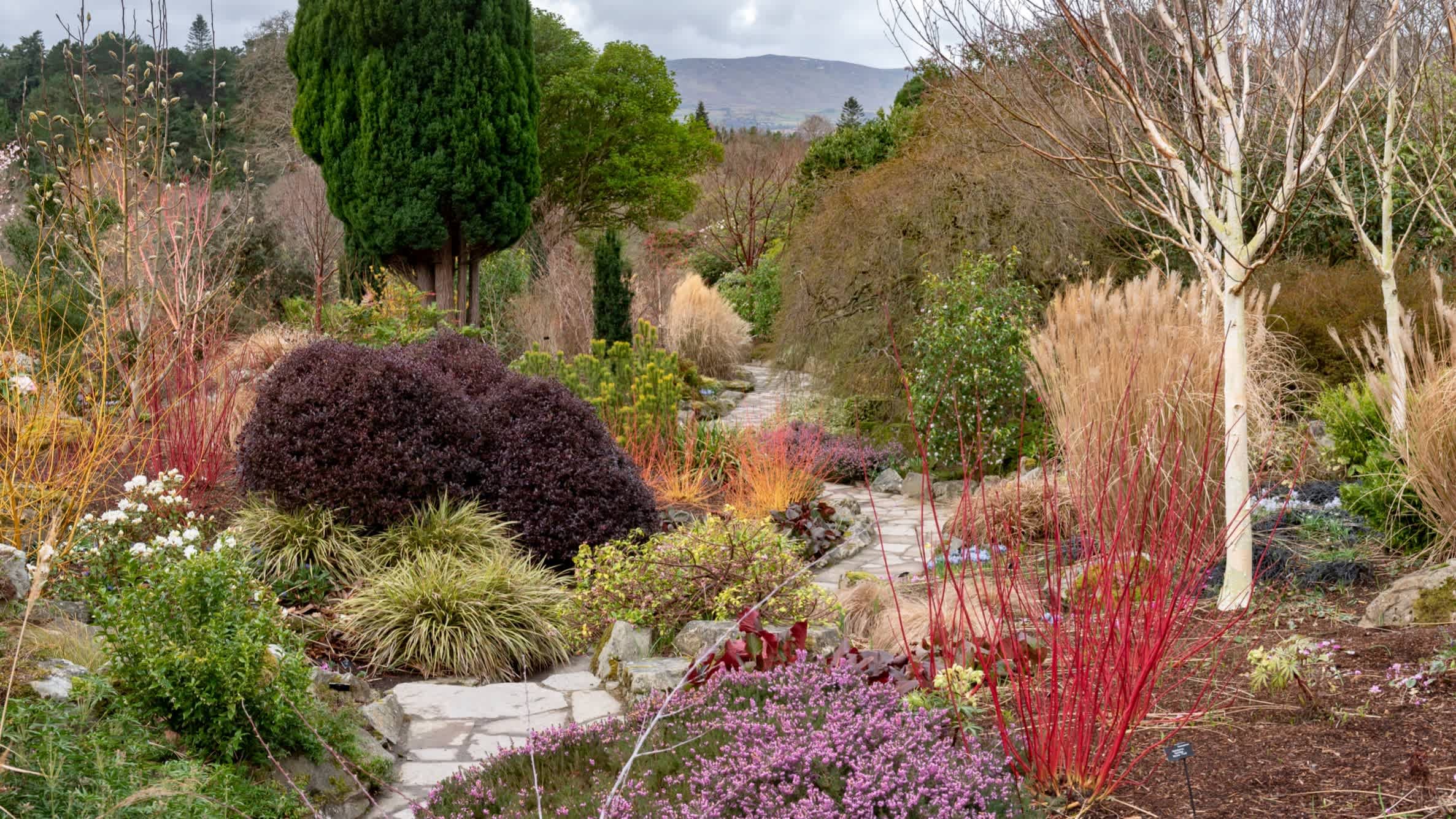 Bodnant Garden - National Trust - Photo