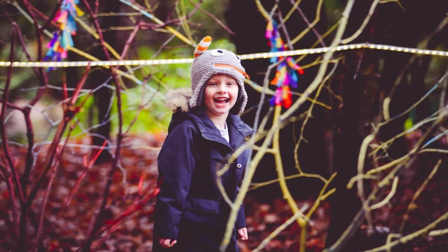 Forest of Light at Beamish Hall - Photo