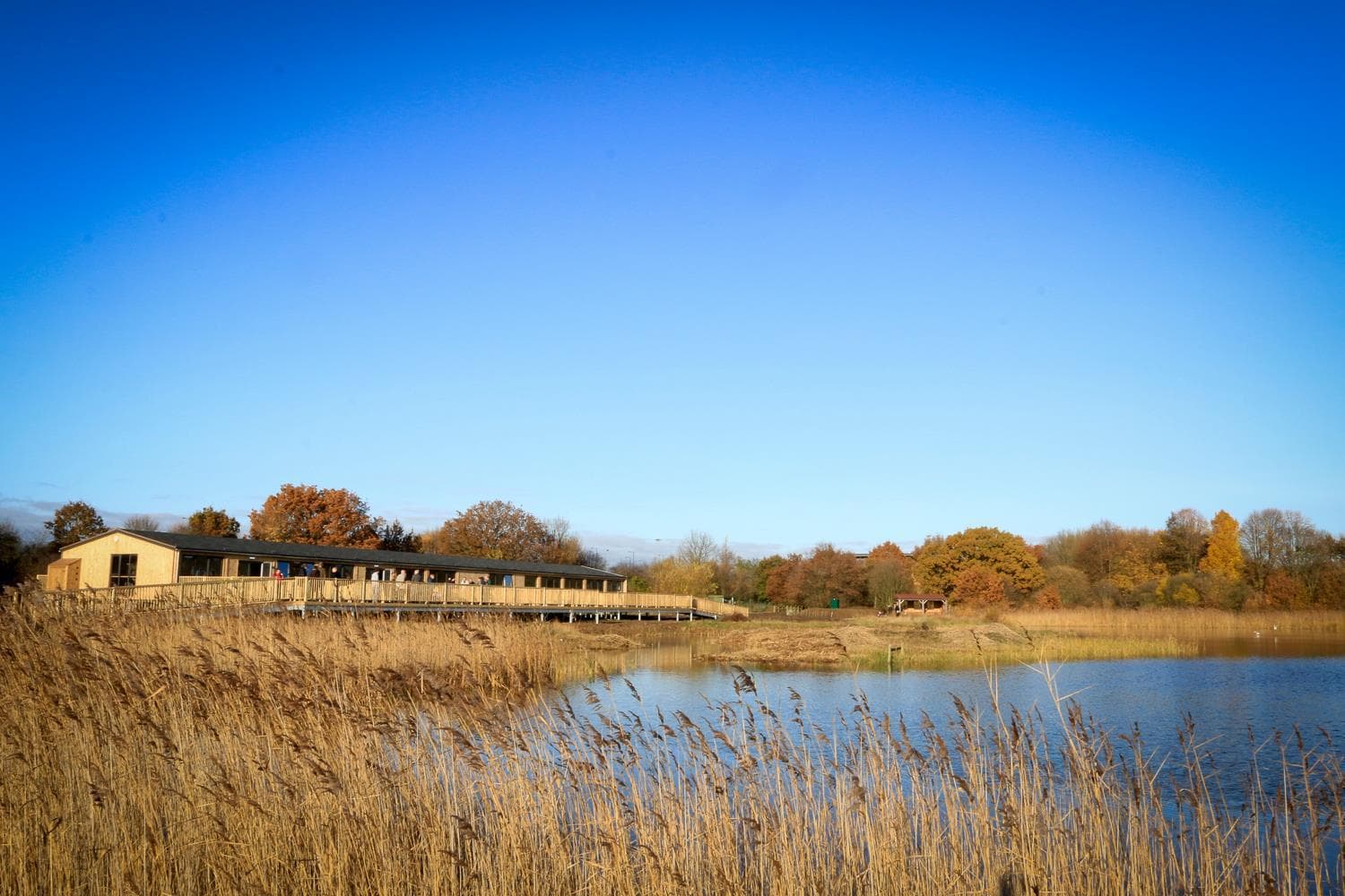 Potteric Carr Nature Reserve