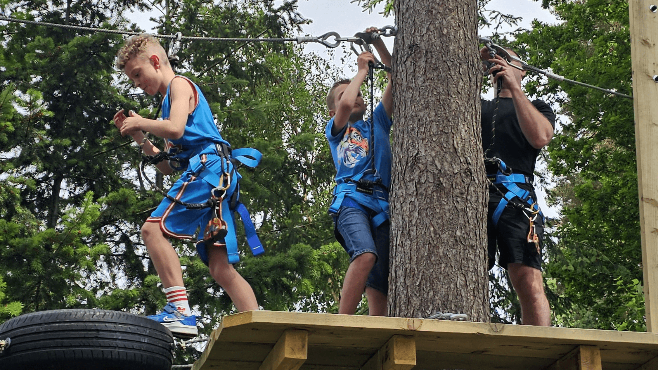 Castlewood Tree Top Adventure - Photo 1